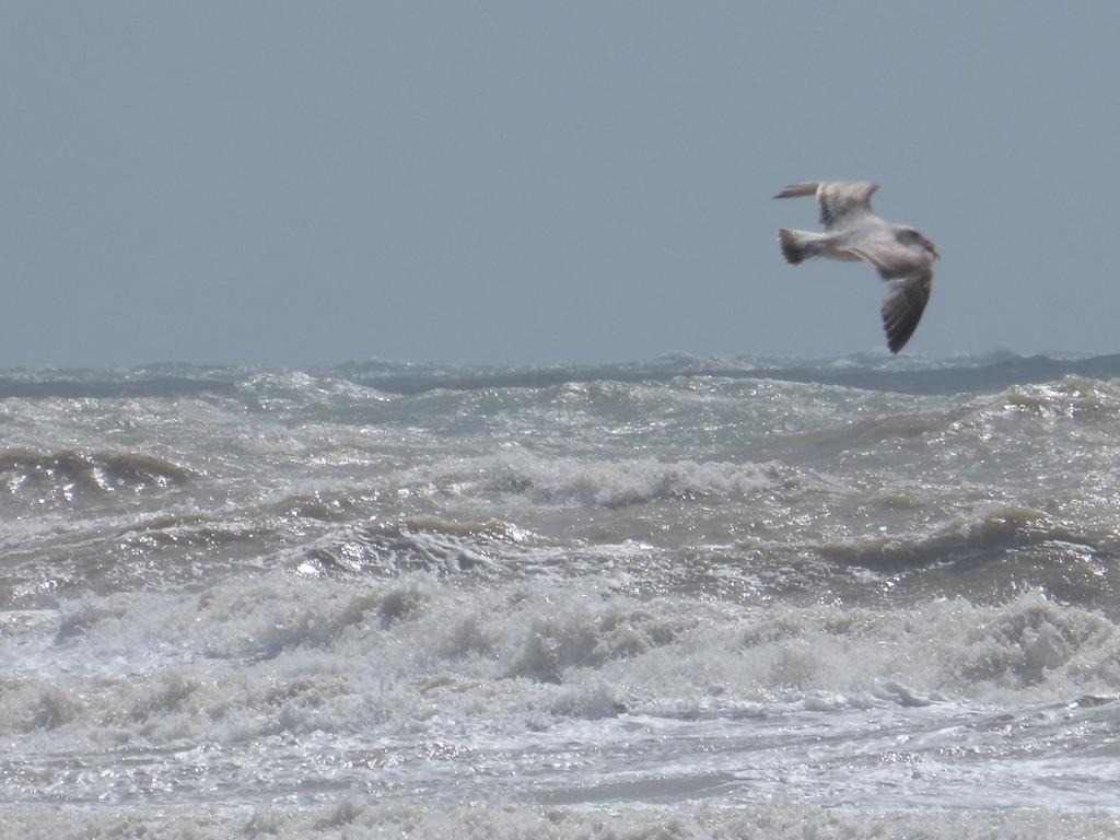 The Iverna Eastbourne Zewnętrze zdjęcie